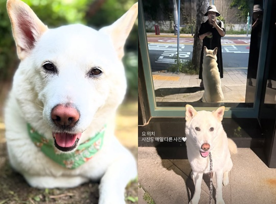/사진=심진화 개인계정