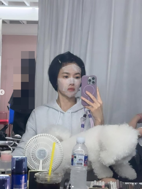/사진=송혜교