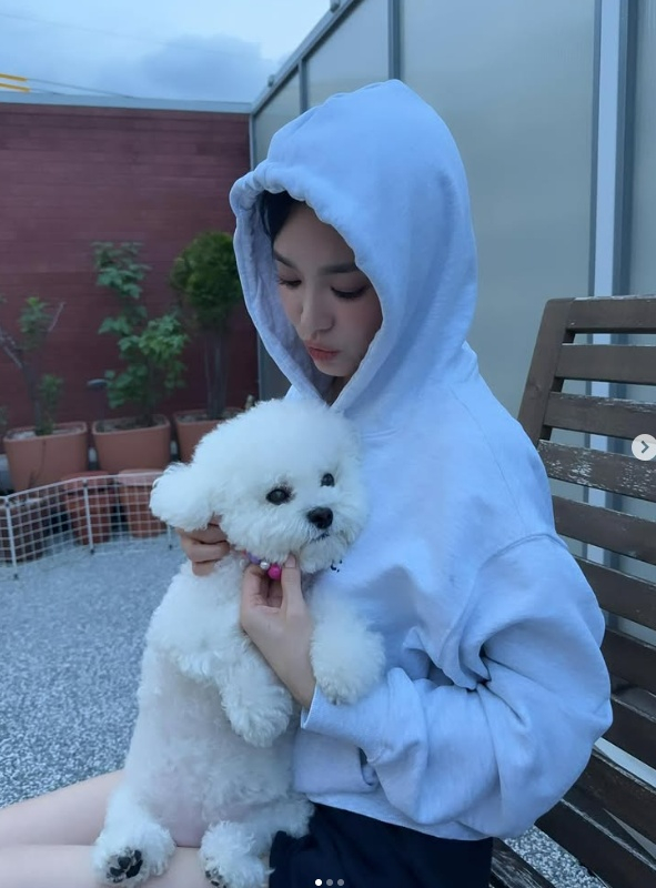/사진=송혜교