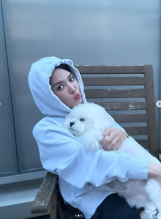 /사진=송혜교