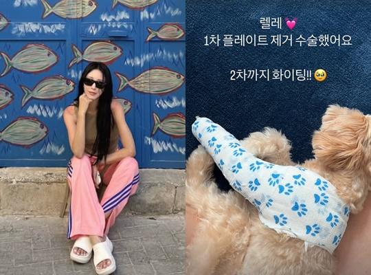 /사진=한예슬 개인계정
