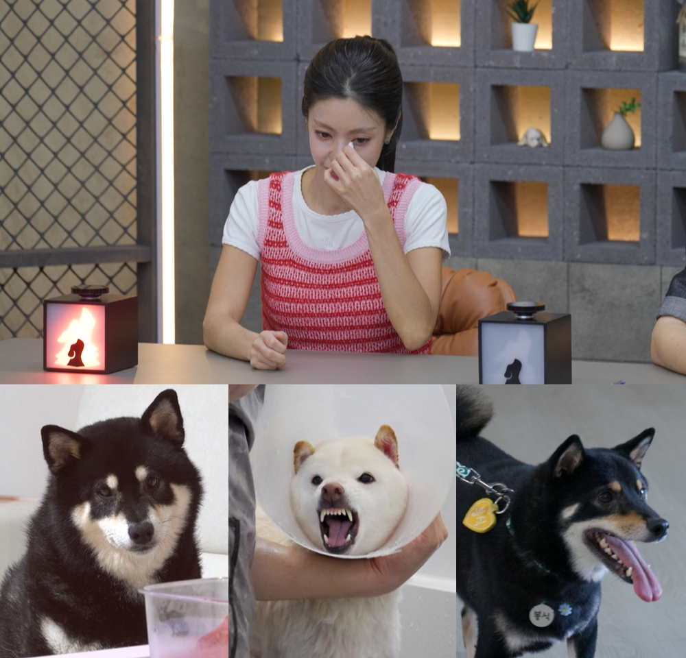 /사진=채널A