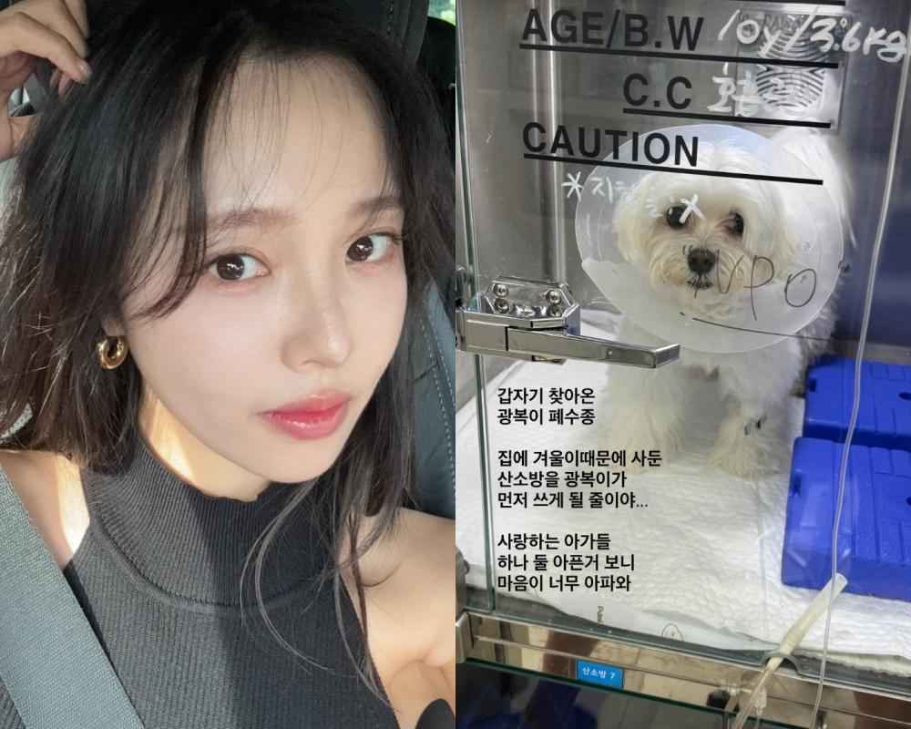 /사진=이솔이 SNS