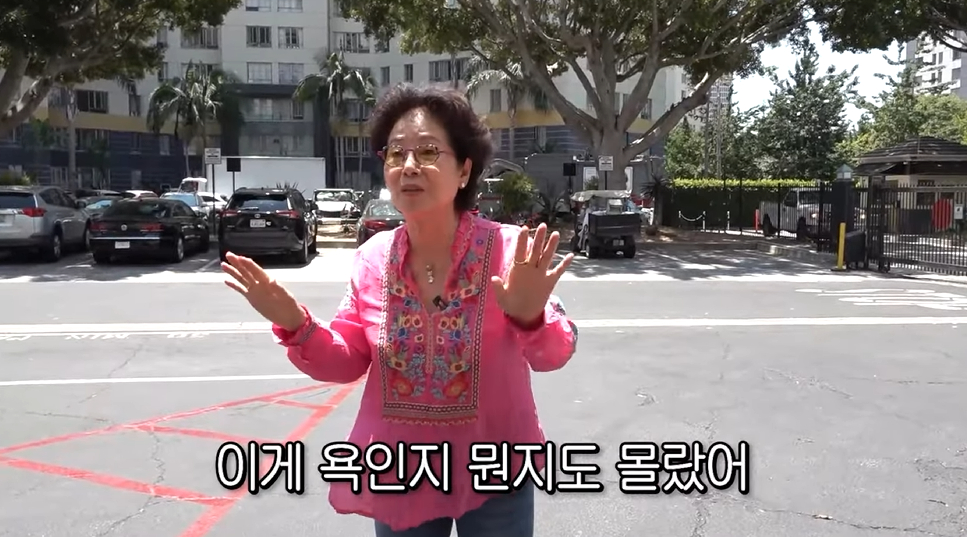 /사진=유튜브 채널 '순풍 선우용여'