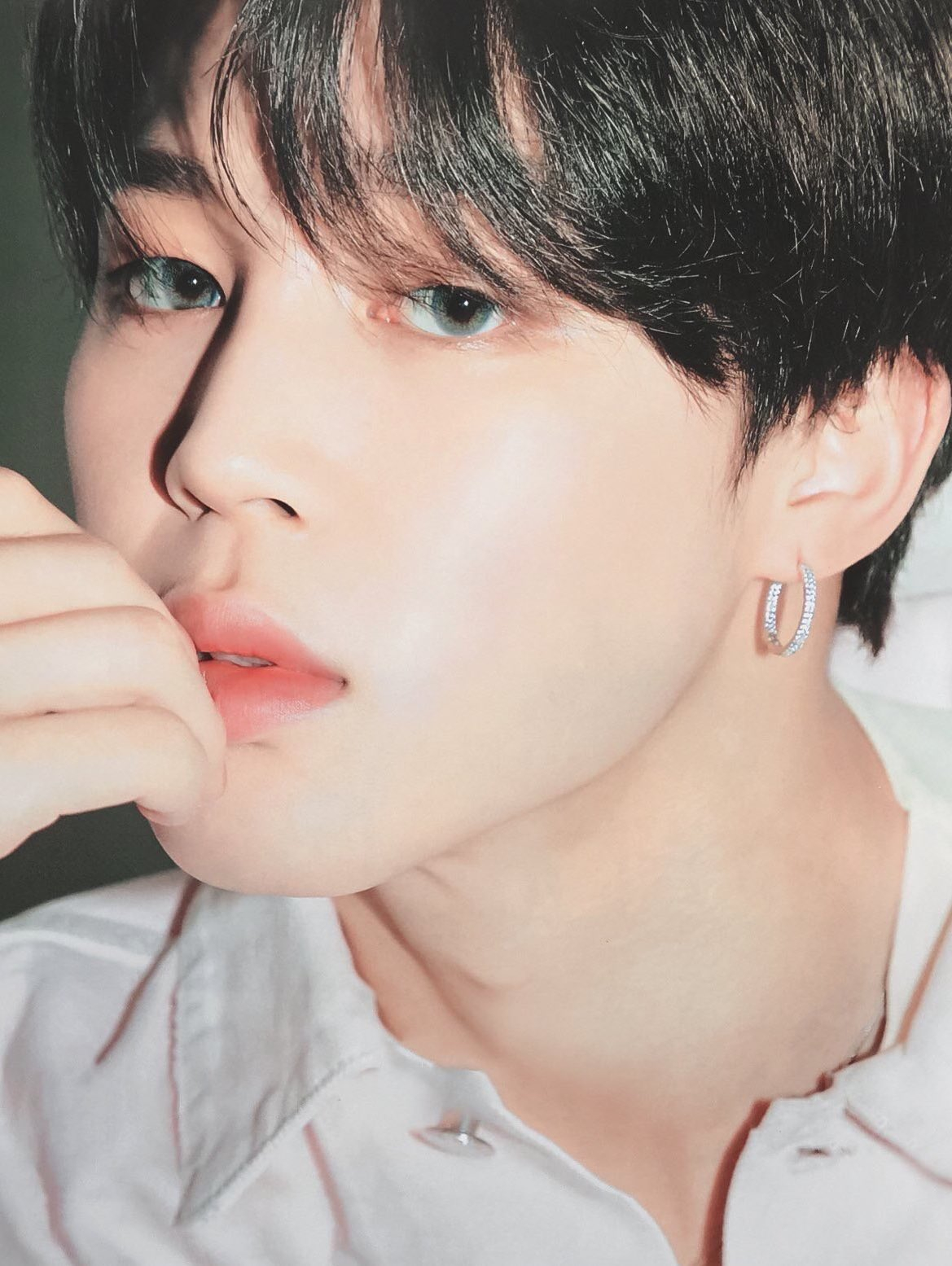 사진