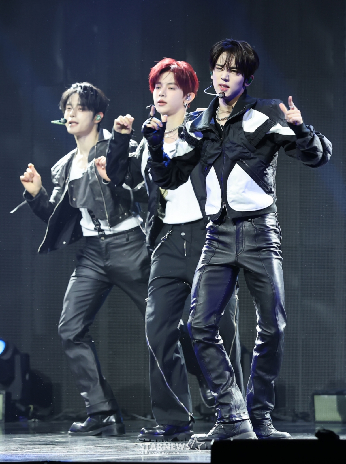 사진