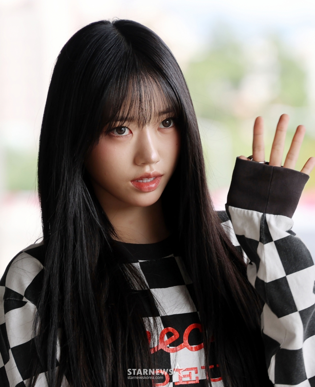 사진