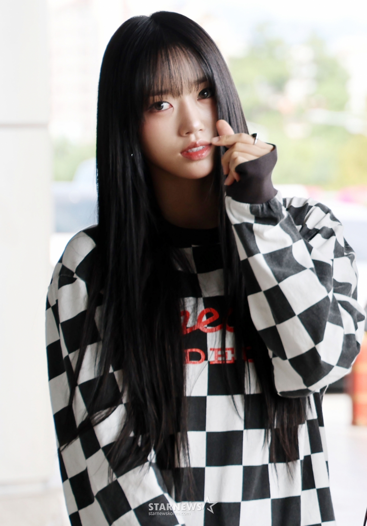 사진