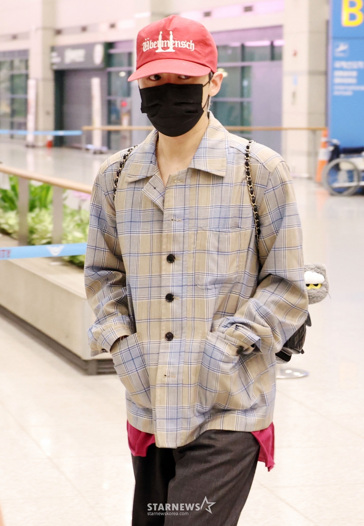 사진