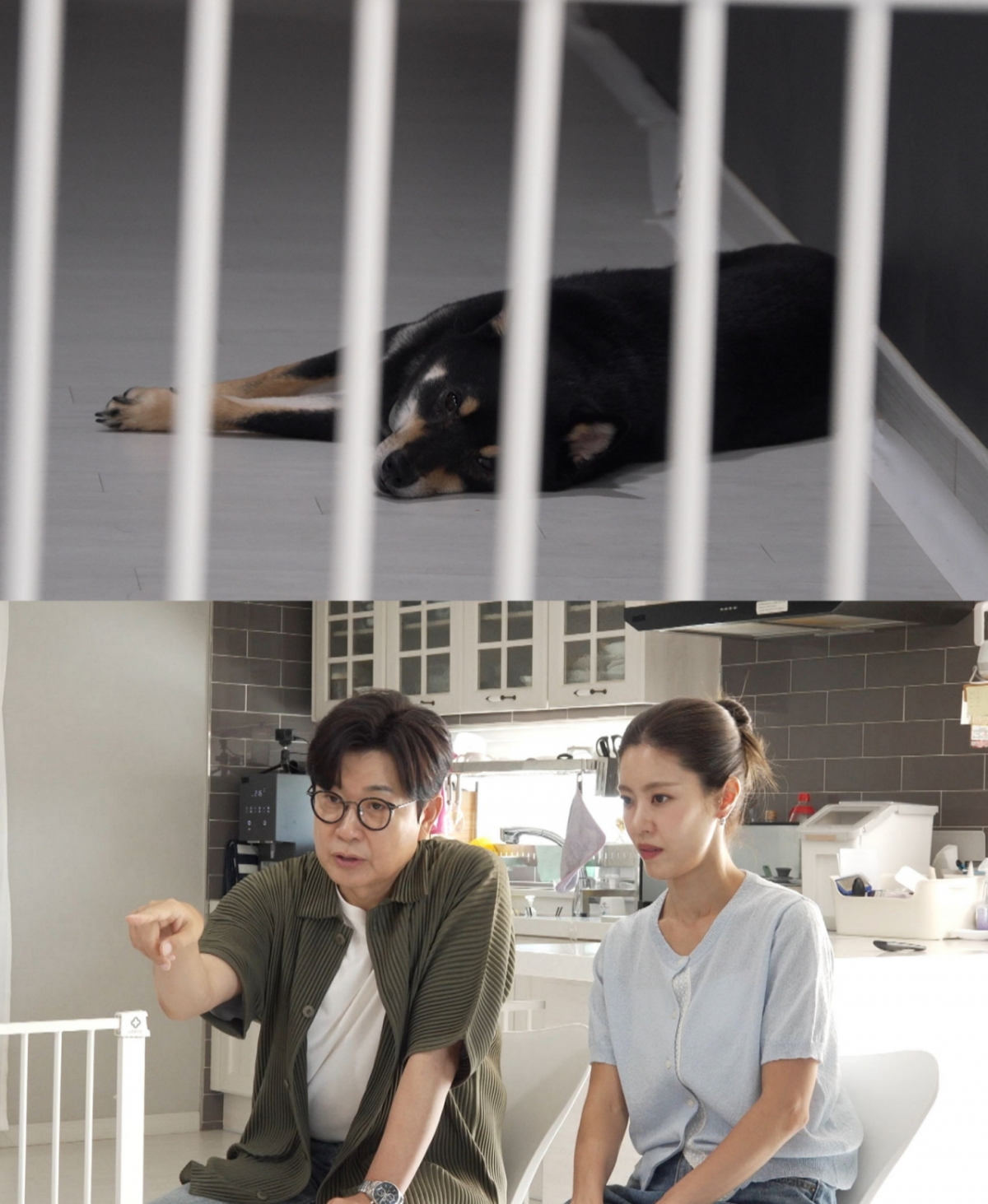 /사진=채널A