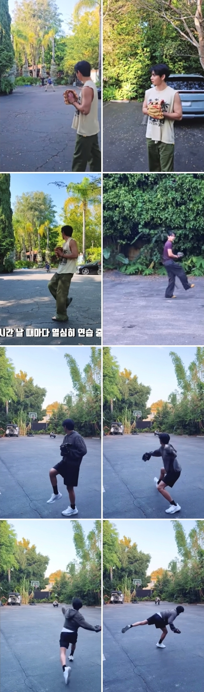 사진
