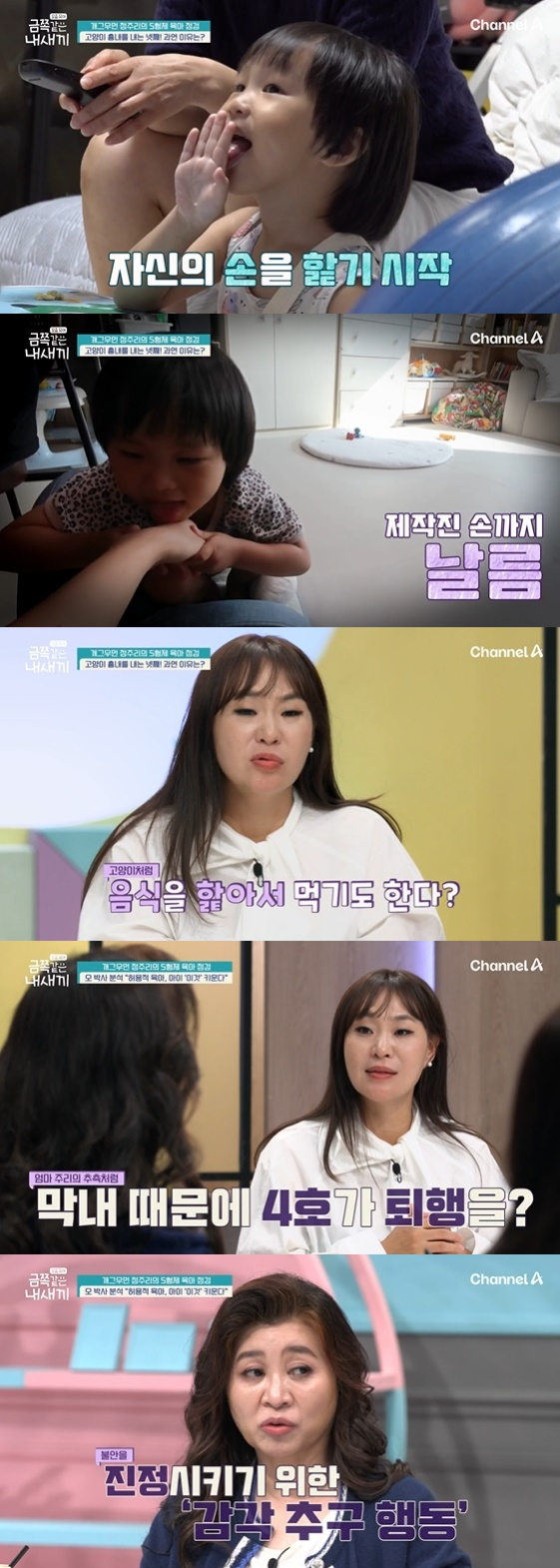 /사진=채널A 예능 프로그램 '요즘 육아-금쪽같은 내새끼'
