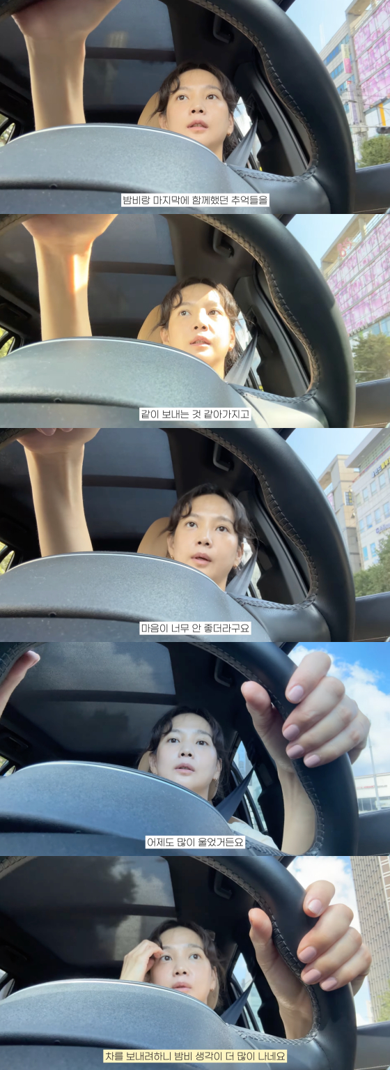 /사진=윤승아 유튜브