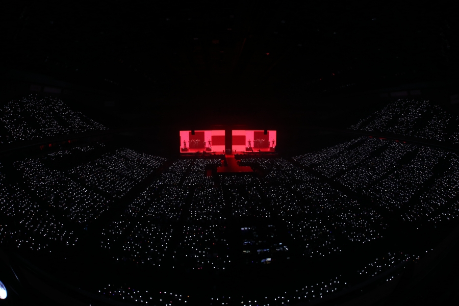 사진