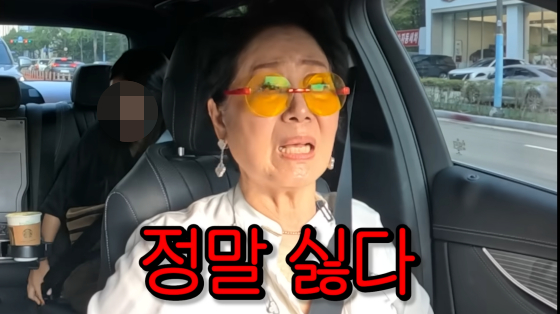 /사진=선우용여 유튜브