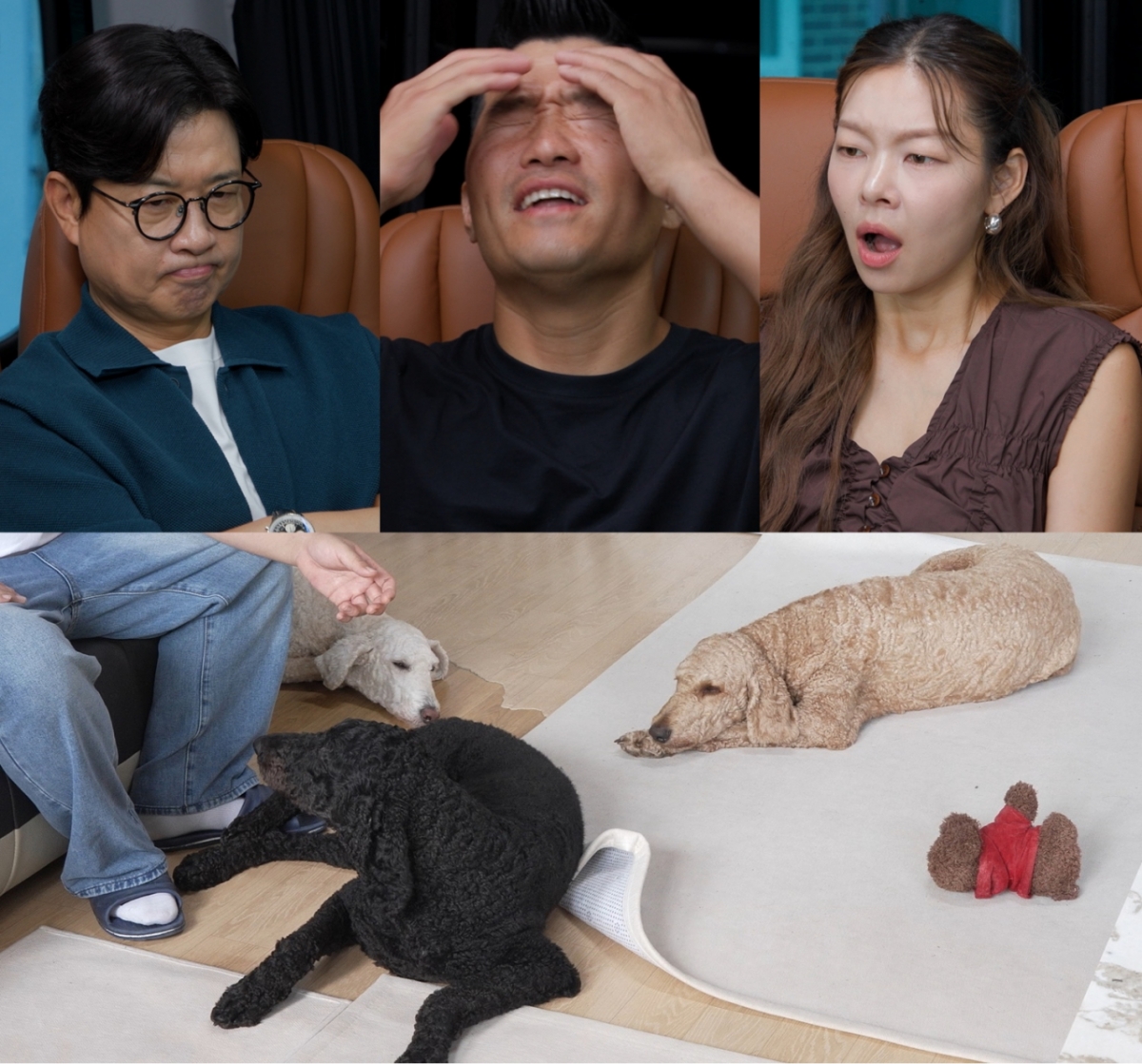 /사진=채널A