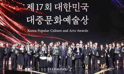 제17회 대한민국 대중문화예술상