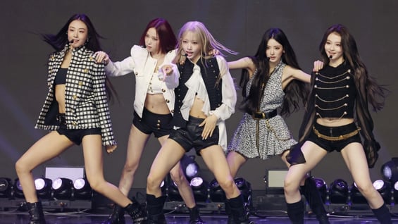 미먀오 '카리스마 넘치는 고양이들'