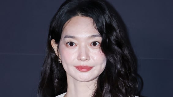 신민아 '우아한 미모'