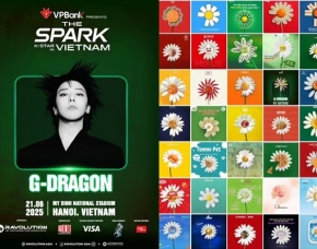После новости о концерте G-Dragon во Вьетнаме местные компании украсили всё яркими маргаритками в знак поддержки «GD shout-out»